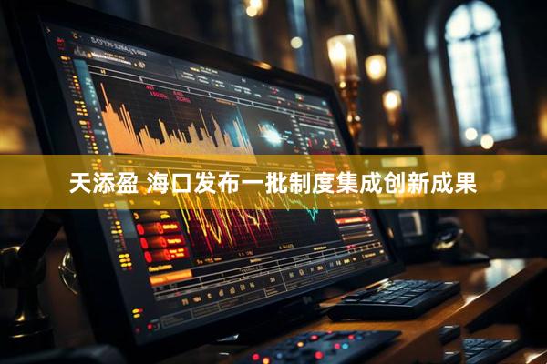 天添盈 海口发布一批制度集成创新成果