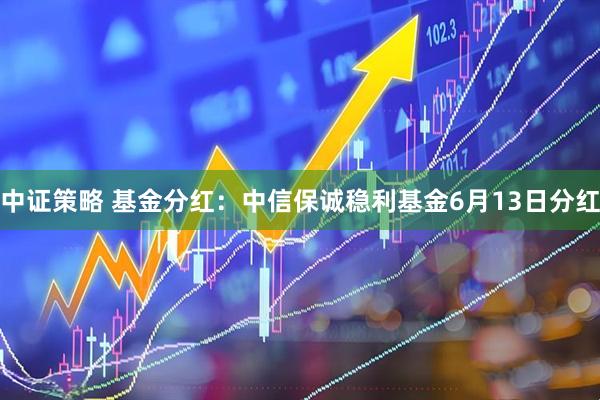 中证策略 基金分红：中信保诚稳利基金6月13日分红