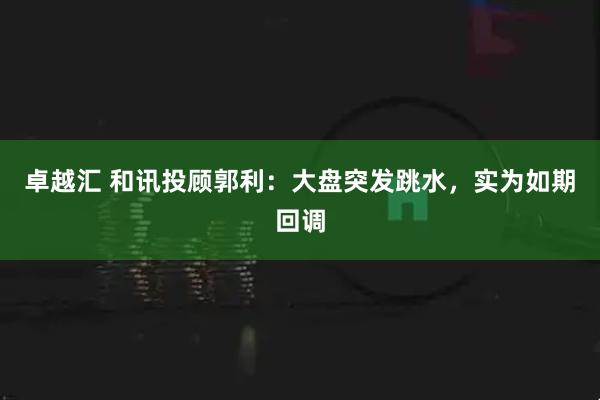 卓越汇 和讯投顾郭利：大盘突发跳水，实为如期回调