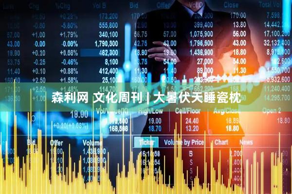 森利网 文化周刊 | 大暑伏天睡瓷枕