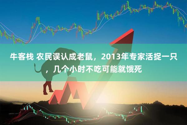 牛客栈 农民误认成老鼠，2013年专家活捉一只，几个小时不吃可能就饿死