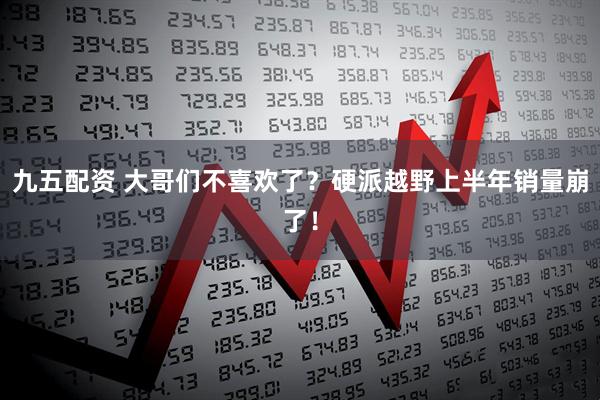 九五配资 大哥们不喜欢了？硬派越野上半年销量崩了！