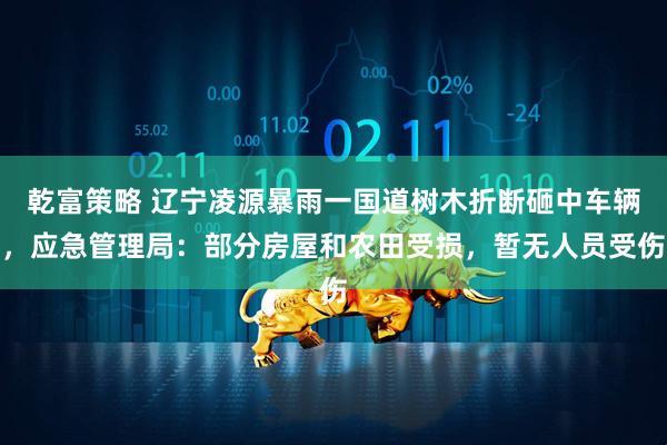 乾富策略 辽宁凌源暴雨一国道树木折断砸中车辆，应急管理局：部分房屋和农田受损，暂无人员受伤