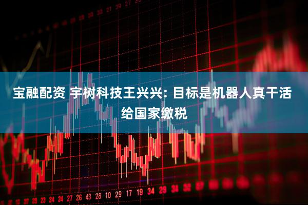 宝融配资 宇树科技王兴兴: 目标是机器人真干活 给国家缴税