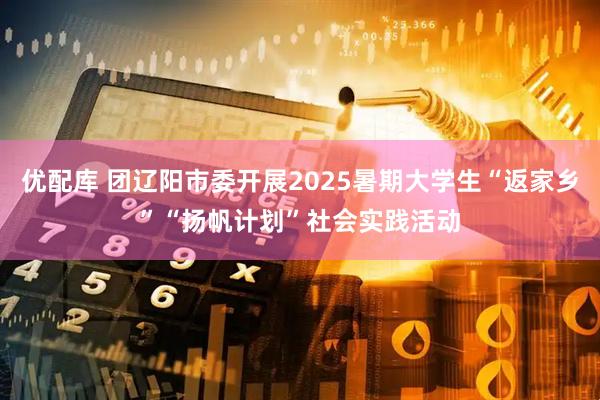 优配库 团辽阳市委开展2025暑期大学生“返家乡”“扬帆计划”社会实践活动
