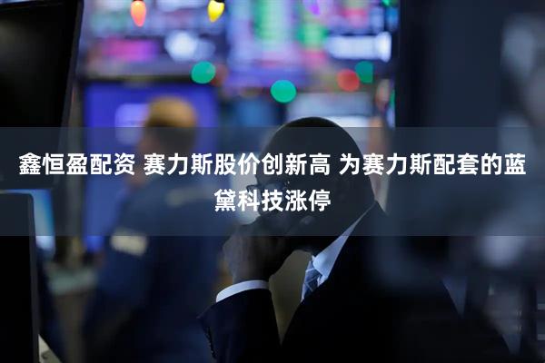 鑫恒盈配资 赛力斯股价创新高 为赛力斯配套的蓝黛科技涨停