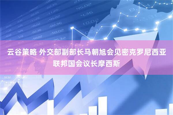 云谷策略 外交部副部长马朝旭会见密克罗尼西亚联邦国会议长摩西斯