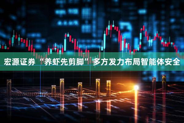 宏源证券 “养虾先剪脚” 多方发力布局智能体安全